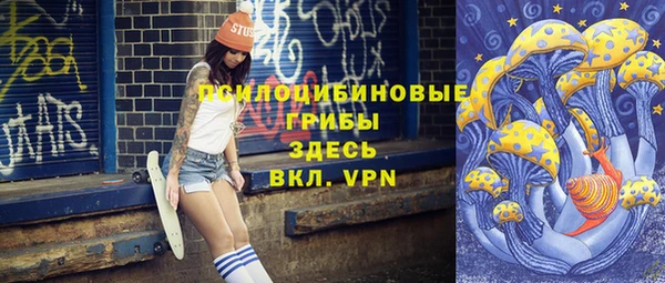 дурь Елизово