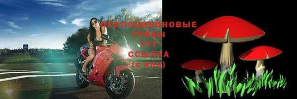 молекула духа Чекалин