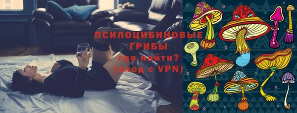 дурь Елизово