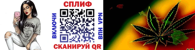 блэк спрут ссылка  Кирс  Канабис сатива 